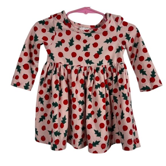 Hanna Andersson Knit Holiday Skater Dress Only Snowberries On Pink 75 12-18 Mos - Picture 1 of 7